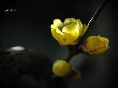 暗香浮动小说笔趣阁