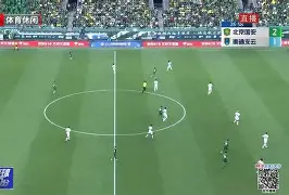 WANBO SPORTS-足球任意球战术有哪些